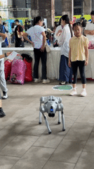 Robotics event fills Dadukou streets with lights and tech