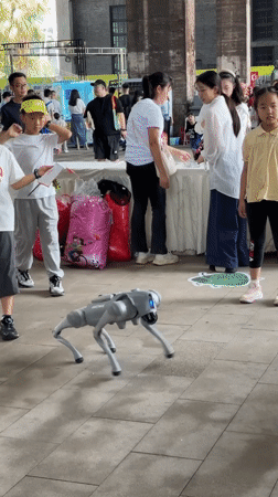 Robotics event fills Dadukou streets with lights and tech