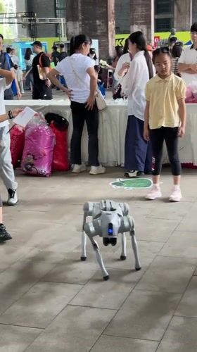 Robotics event fills Dadukou streets with lights and tech