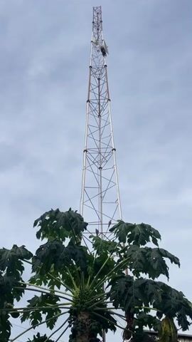 The video shows a tall, thin tower constructed of metal lattice against a cloudy sky. A single, small, light-colored structure, likely a communications dish or antenna, is affixed near the top of the tower. A green papaya tree stands at the base of the tower, its large leaves partially obscuring the lower portion of the structure. The tree is laden with numerous green papayas. The camera remains stationary throughout the duration of the video.