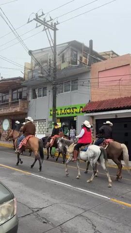 The video shows a group of people riding horses down a street in a town. Most of the riders are wearing cowboy hats and jeans. They are riding on the right side of the road, next to parked cars and buildings. The buildings are a mix of residential and commercial, with a veterinary clinic visible.  A dog walks alongside one of the horses. The sky is overcast, and the atmosphere appears calm.