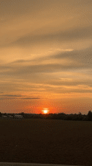 Traveler enjoys sunset countryside views near Reshetnikovo, Russia