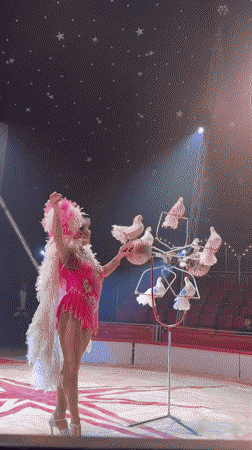 Circus performer in pink costume captured on stage in Gabrovo