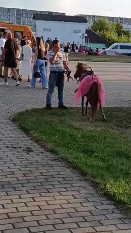 A man in a striped shirt and jeans stands on grass, holding a leash attached to a small brown pony. The pony is wearing a pink tutu around its hindquarters. Behind the man, a group of people are walking on a paved walkway. In the background, there are buildings, a food truck, and parked cars under an overcast sky. The scene appears to be an outdoor event or gathering.