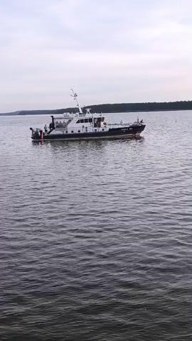 A white and black boat is on a body of water. The boat has several people on it. The water appears dark and rippled. In the background is a tree line. The sky is overcast.