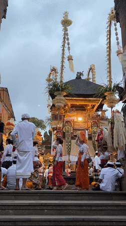 Tourist takes selfie with dog at ornate Balinese temple