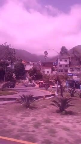 This media file captures a view of a road and its surroundings, likely in Macuto, Venezuela. A person on a motorcycle, wearing a helmet and a tank top, is prominently featured in the foreground, moving along a road that curves to the right. The scene is characterized by a vibrant purple hue, suggesting a strong color filter applied to the footage or an unusual atmospheric condition.

In the background, houses and buildings are visible, clustered on a hillside. Trees, some with bare branches and others with foliage, are scattered throughout the landscape. The sky is filled with dramatic clouds, tinged with the same purple as the rest of the image. Mountains rise in the distance, shrouded in haze.

On the side of the road, there is a stretch of grassy area with several tall cacti, adding a distinct desert-like element to the tropical setting. A yellow vehicle and a red bus are also discernible on the road further back, indicating traffic. A yellow guardrail lines the edge of the road in places.

The overall impression is that of a bright, possibly windy day, given the way the trees appear to be swaying. The purple cast lends a surreal or dreamlike quality to the scene. There is a white sign with text on the grassy area, but the text is not clearly legible. Another sign with text is visible on a building in the background. The activity is simply movement along a road in a semi-urban, semi-natural environment.