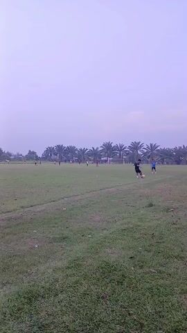 The video shows a soccer field with several players practicing. Two players are visible in the foreground, one in a dark shirt and shorts, the other in a blue shirt and dark shorts. Both are standing on the grassy field. In the background, more players are scattered across the field, and two soccer goals are visible. Palm trees line the edge of the field, and the sky is overcast and hazy. The overall scene depicts a casual practice session.