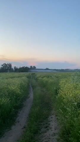 A dirt path leads through a field of green grass and yellow wildflowers under a pale blue sky with pink and orange clouds. Trees line the horizon in the distance. The camera pans to the right, showing more of the field and the path curving away.