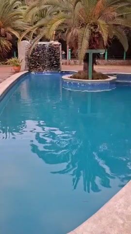 The video shows a rectangular swimming pool surrounded by palm trees. The pool is filled with clear, blue water that reflects the palm trees above. In the center of the pool, there is a small island with a palm tree growing on it. A small waterfall feature can be seen on the side of the pool. The area around the pool appears to be well-maintained with grass and tiled walkways. The scene appears to be a tranquil resort or a private garden with a pool.