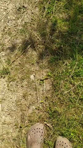 The video shows a close-up view of someone's feet walking on a path. The path is made of dirt and small stones, with patches of dry grass and green grass on either side. The person is wearing beige Croc-style shoes. The camera angle is looking down at the ground, and the movement suggests walking forward. The lighting indicates it is daytime, likely sunny, with shadows cast by something out of frame.