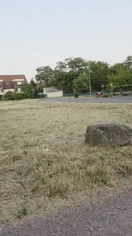The video shows a slow pan across a dry, grassy field. In the background, there are several buildings, including a multi-story house with a red roof, a smaller building with a white facade, and a long, low-rise structure with a covered walkway. There are also trees and utility poles visible. A few cars are parked in the distance. The field itself appears to have been recently mowed, with piles of dried grass visible. A large rock sits in the foreground of the field. The sky is overcast.