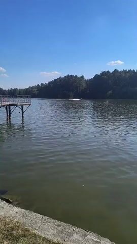 A jet ski speeds across a lake, leaving a white wake behind it. The lake is surrounded by a dense forest, and the sky above is clear and blue. A small wooden pier is visible on the left side of the frame.