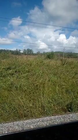 The video shows a grassy field with a bright blue sky and white clouds. There are power lines visible in the distance. The camera appears to be moving, possibly from a vehicle, as the scenery is in motion. The overall impression is a rural or natural landscape under a sunny day.