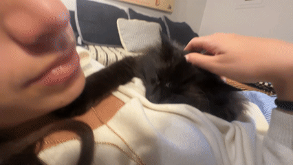 Woman works from couch with affectionate black cat in Lourmarin