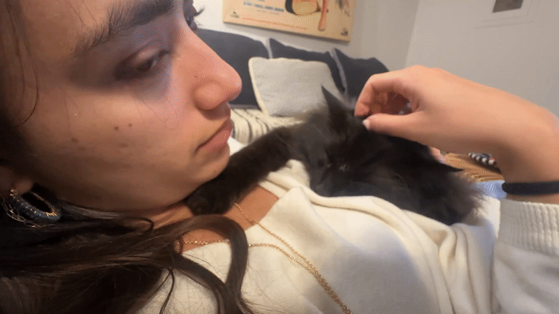 Woman works from couch with affectionate black cat in Lourmarin