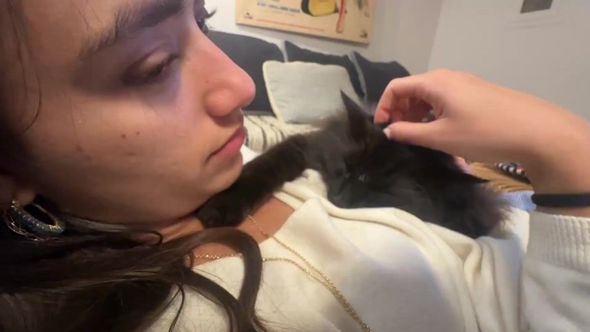A person is holding a black cat in their arms. The cat is sleeping. The person is petting the cat's head. The person is wearing a white sweater and a gold necklace. The cat is resting on the person's chest. The person is looking at the camera. They are sitting on a sofa. Behind them, there are several pillows on the sofa. There is also a picture hanging on the wall.