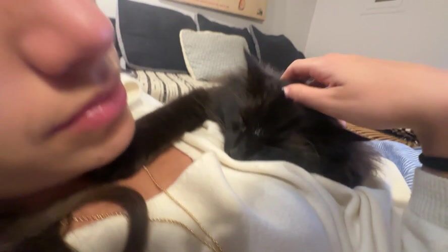 Woman works from couch with affectionate black cat in Lourmarin