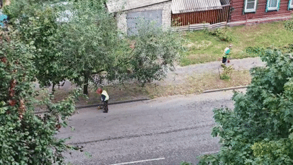 Street cleaning crew and a quiet morning at home in Homyel