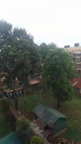 The video shows an overcast cityscape. It starts with a view of trees and small buildings with green and red roofs. The camera pans up to reveal a larger, multi-story apartment building with water tanks on its roof. As the camera continues to pan, more residential buildings with a mix of brown and blue roofs come into view, stretching out towards the horizon under the cloudy sky. Power lines are visible in the foreground.