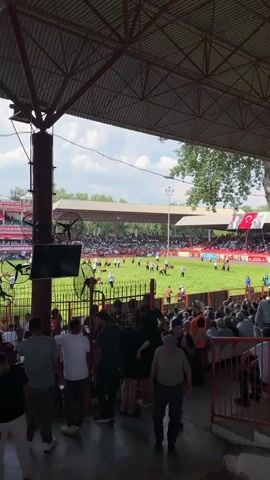 A crowd of spectators watches a wrestling match on a grass field. The field is surrounded by a fence and a stadium with tiered seating. Some spectators are standing close to the fence, while others are seated in the stadium. The wrestlers are in the center of the field, engaged in a wrestling match. Some are standing, while others are on the ground. The weather appears to be cloudy with some patches of sunlight. There are trees visible in the background, suggesting an outdoor venue. The scene seems to be taking place during the daytime.
