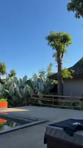 The video opens with a shot of a swimming pool in a tropical setting. In the foreground, there's a chaise lounge with a dark garment on it. To the left, the pool's edge is visible with a planter sitting on it. Behind the planter, there's a large green shrub with broad leaves, and a small wooden fence. To the right, the corner of a small building with a thatched roof is seen. As the camera pans left, a wider view of the pool and landscape is revealed. The pool has dark blue tiles and reflects the surrounding environment. The pool overlooks a green lawn that stretches out to a vista of lush green vegetation and a distant mountain range under a clear blue sky. Several trees, some with unique topiary-like shapes, dot the lawn. Overall, the setting appears peaceful and serene.