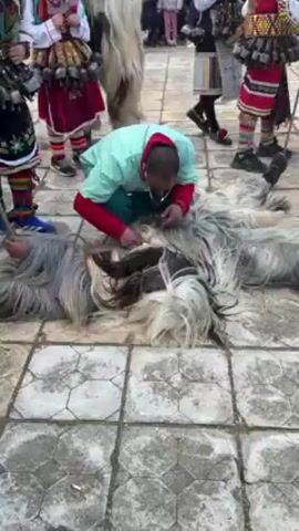 The video captures a lively scene involving costumed individuals engaging in a traditional performance on a stone-tiled square in what appears to be a village setting. A man in a bright green top is crouched down, seemingly working with or on top of two prone figures covered in gray and white shaggy costumes resembling animal pelts. Surrounding them are several other people in elaborate costumes, some featuring colorful bells, and others with tall, furry headpieces. There is also a clown, a woman in traditional garb and numerous other spectators in the background. The sound of cowbells can be heard above the chatter and ambient noise. The video is taken from an elevated perspective, providing a good overview of the square and the activity taking place.