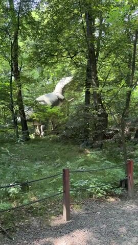 A video shows a pathway through a forested area with tall trees and lush green foliage. Several large, realistic dinosaur models are visible. In the foreground, a rustic wooden fence with red posts and rope barriers delineates the path. In the background, a large Tyrannosaurus Rex model stands prominently, its mouth open. To the left and further back, another dinosaur model, possibly a bird-like dinosaur in flight, is seen. Other dinosaur models are partially visible among the trees and rocks. A few people can be seen in the distance, observing the dinosaur displays. The sunlight filters through the leaves, creating a dappled effect on the ground and models. The path appears to be made of gravel.