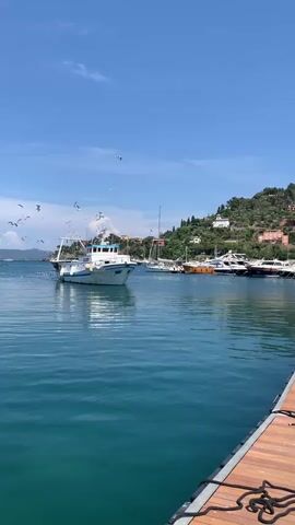 This media file captures a scenic view of a harbor in Porto Santo Stefano, Italy. The primary focus is a white fishing boat with a blue trim, its bow pointed towards the left of the frame. It is surrounded by a flock of seagulls, some of which are in mid-flight, adding a dynamic element to the scene.

In the background, a row of sleek yachts and other boats are docked along the harbor, suggesting a bustling marina. Beyond the docked vessels, a verdant, tree-covered hillside rises, dotted with buildings, some of which appear to be houses with terracotta roofs. The sky is a clear, bright blue with a few wispy clouds, indicating fair weather. The sun appears to be high in the sky, suggesting it is midday.

The foreground features a portion of a wooden pier with dark ropes coiled on it, providing a sense of depth and framing the harbor view. The water is a deep, tranquil turquoise, reflecting the clear sky and the surrounding boats.

The overall impression is one of a peaceful and picturesque Mediterranean coastal town. The presence of the fishing boat and the seagulls suggests an active maritime community, while the docked yachts hint at a blend of local life and tourism. The bright sunlight and clear skies evoke a sense of warmth and pleasantness. There is no visible text within the frame.