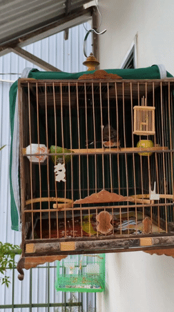 Morning documentation of daily life in Đà Lạt's Cam Ly district