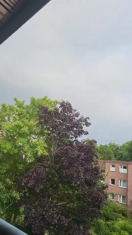 The video captures a view from a balcony looking out over a residential area. The sky is filled with gray clouds, suggesting an overcast day. In the foreground, there are two trees, one with green leaves and another with dark purple leaves. To the right, a brick apartment building with multiple windows and balconies is visible. The camera pans slightly, showing more of the building and the surrounding trees. The overall impression is a cloudy, possibly humid day in a suburban or urban environment.