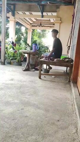 The video opens with a young male sitting on a bench, facing away from the camera. The setting appears to be a covered outdoor area with a concrete floor and a tiled roof supported by columns. In the background, there are potted plants and motorcycles. The scene transitions to a view of a courtyard with a person crouching down near a red bucket. Further in the background, there are houses and trees. The camera then pans to a building with a tiled roof and a white fence, with a flag pole visible. Next, the scene shifts to show a pile of cut logs, a brick structure, a large clay pot, and a stool. The ground is dirt and scattered with wood debris. Throughout the video, the environment suggests a rural or semi-rural setting, possibly in Southeast Asia, given the architecture and vegetation. The actions captured are mundane, with no indication of conflict or distress.