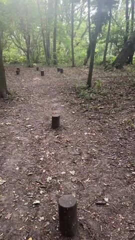 The video shows a forest floor with many tree stumps scattered across it. The stumps appear to be arranged in a path, leading deeper into the woods. The trees are tall and dense, with sunlight filtering through the canopy. The ground is covered in fallen leaves and dirt, indicating a natural, untamed environment. There are no people or animals visible in the video, and no actions or interactions are taking place. The overall impression is one of solitude and natural beauty.