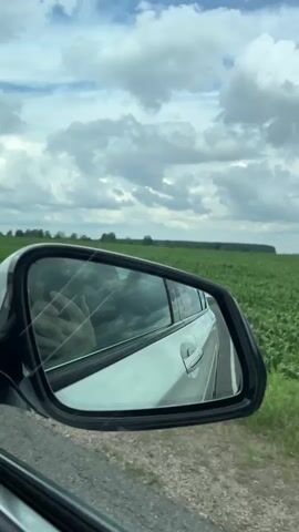 The video shows a view from inside a car, looking at the side-view mirror. The mirror reflects the interior of the car, including a person's hand and arm. The exterior scene reflected in the mirror is a road next to a green field of crops under a cloudy sky. The car appears to be moving.