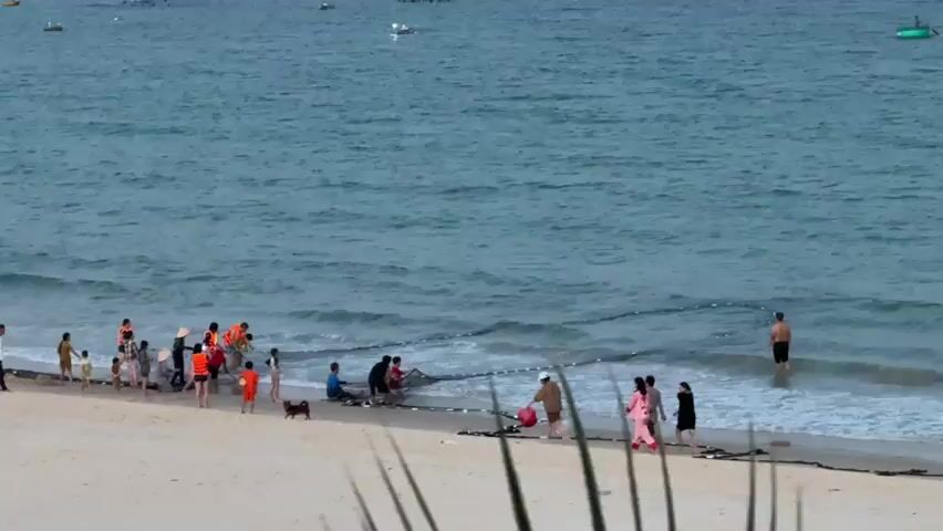 A group of people are gathered on a sandy beach next to the ocean. Some are standing on the shore, while others are in the shallow water. A long net is stretched across the water, and several people appear to be pulling it in, likely engaged in a fishing activity. There is a man in the water to the right of the net, and a few boats or buoys are visible further out in the ocean. The water is a light blue-green, and the sky is overcast. Some vegetation is visible in the foreground of the image.