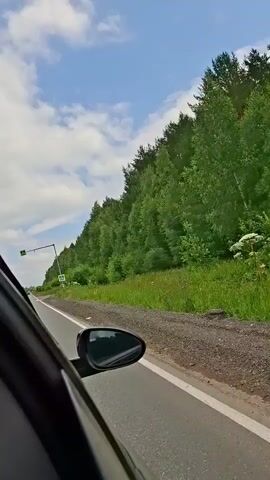 The video shows a first-person view from inside a moving car, looking out the passenger side window. The car is on a paved road that curves to the left, with a forest of green trees lining the right side of the road. The sky is blue with scattered white clouds. There are two pedestrian crossing signs visible on the right side of the road, one on a pole and another suspended over the road by an arm. A black car mirror is visible in the lower right corner of the frame. The camera is tilted upward, capturing the sky and the tops of the trees.