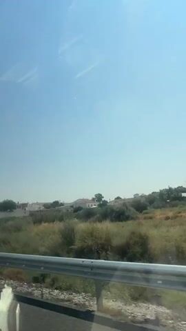 A video taken from a moving vehicle shows a rural landscape under a clear blue sky. The foreground consists of a road, a guardrail, and vegetation including dry grasses and bushes. In the midground, there are more bushes and some low-lying buildings, possibly houses, with white walls and terracotta roofs, surrounded by trees. Some of the buildings appear to be under construction or are derelict, with piles of debris visible. A few palm trees and other types of trees are scattered throughout the scene. A single white road marker with yellow and black stripes is visible on the right side of the road in the foreground. The overall impression is one of arid countryside with scattered human habitation.
