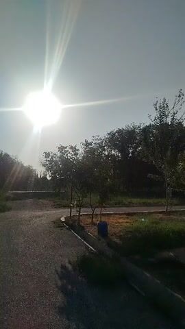 The video shows a bright sun shining from the upper left corner of the frame. A paved path curves from the left side of the screen towards the center. Trees and foliage are visible on the right side of the path and in the background. The sky is clear. There are no people or animals visible in the video. The scene appears to be an outdoor park or recreational area.