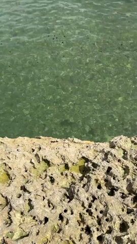 The video opens with a close-up view of the water's edge, showing textured rocks and the clear, shallow green water. The camera then pans out, revealing a coastline with large, sheer white cliffs. The water is calm, with small waves lapping at the shore. The sky is partly cloudy. There are no people or animals visible in the video. The overall scene is one of a peaceful coastal landscape.