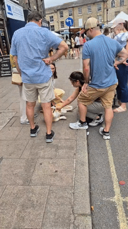 Corgi draws a sidewalk crowd in West Suffolk