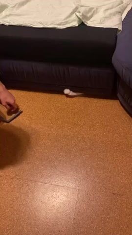A person's hand is visible on the left side of the frame, reaching towards the right. The hand is extended and appears to be interacting with something just out of view. The background shows the edge of a dark couch with a light-colored sheet or blanket draped over it. The floor is a textured cork material. A small white object, possibly a cat's paw or tail, is partially visible under the couch. The lighting suggests an indoor environment.