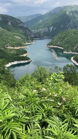 The video shows a scenic view of a lake nestled between green, mountainous terrain. The lake appears calm and deep, with several finger-like extensions branching out into the surrounding land. A floating structure, possibly a dock or platform, is visible in the middle of the lake. Lush green vegetation fills the foreground, partially obscuring the view, with some pink flowers adding a touch of color. The sky is overcast with clouds, but patches of blue peek through, suggesting intermittent sunlight. The overall impression is one of serene natural beauty.