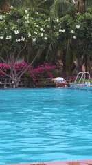 Person jumps into swimming pool in Vietnam