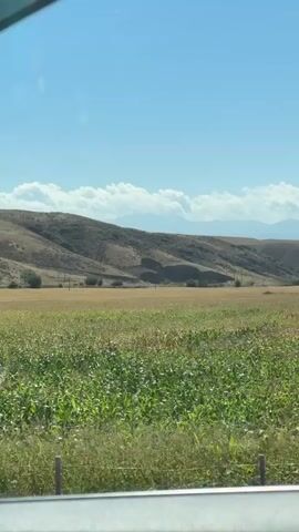A video of a rural landscape taken from a moving vehicle. The foreground is dominated by a field of green corn stalks with some dry grass. In the midground, there is a field of golden wheat. The background features rolling, tan-colored hills with sparse trees and distant mountains. The sky is bright blue with scattered white clouds. There are no people or animals visible.
