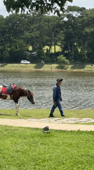 Lakeside leisure and horse walks at Da Lat's Xuân Hương Lake