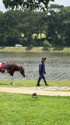 Lakeside leisure and horse walks at Da Lat's Xuân Hương Lake