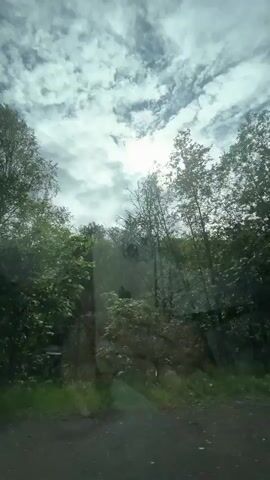 The video shows a view from inside a vehicle, looking out through the windshield. The sky is partly cloudy with the sun shining through, creating a bright spot. Trees and foliage line the landscape outside. A reflection is visible on the windshield, appearing to be a smartphone, possibly an iPhone, held by someone. The vehicle appears to be moving, as indicated by the slight motion blur. The overall scene is one of a daytime drive through a natural environment.