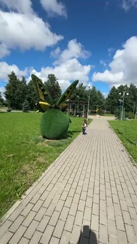 A short video taken on a bright sunny day in a park. The video pans from left to right, showcasing a large, green, topiary sculpture of a butterfly perched on a round green base. The butterfly's wings are spread and detailed with yellow and black patterns. To the right of the sculpture, a small child, wearing a pink top and white bottoms, stands facing the butterfly, looking up at it. The child is positioned on a paved walkway made of tan and gray bricks. The walkway leads into the distance. The background consists of a lush green lawn, mature trees, and a bright blue sky with scattered white clouds. Streetlights are visible in the background. The overall scene is one of a pleasant outdoor environment with a whimsical artistic element and a child interacting with it.