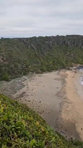 A high-angle, wide-shot video shows a beach cove. A large hill with lush, green vegetation dominates the left side of the frame. The beach is sandy, with a darker, wet area closest to the hill. Turquoise water gently laps against the shore on the right side of the frame. Small waves break along the shoreline. Several people are visible on the beach, appearing as tiny figures due to the distance. The sky is overcast and gray. The camera slowly pans to the right, revealing more of the coastline and the ocean. In the distance, a rocky outcrop extends into the sea.