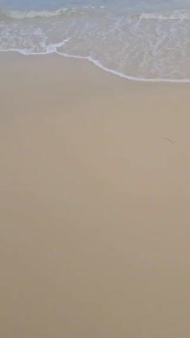 The video shows a beach. The sand is a light beige color.  Small waves, foamy and white, roll in and wash over the sand. The water is a pale blue. There are no people visible. There is a single strand of grass lying on the sand.